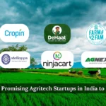 10 Emerging Agritech Startups in India You Need to Know About