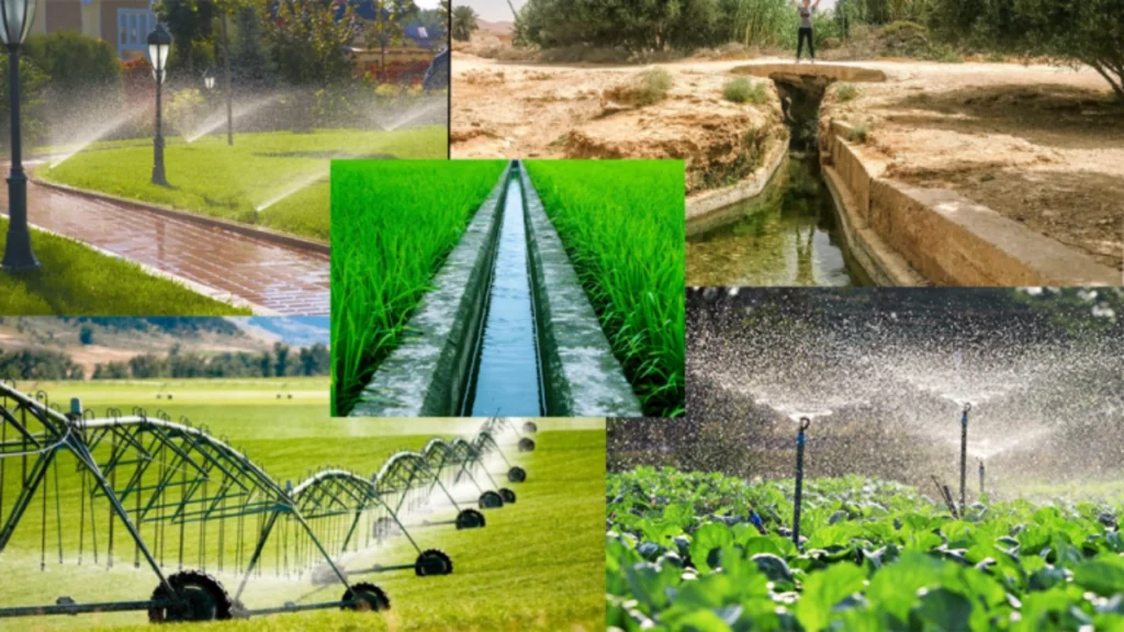 Farmer using drip irrigation for climate resilient farming with Focus Agritech IoT sensor