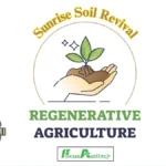 Regenerative Agriculture 2025: Heal Soil for the Future