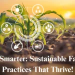 Sustainable Farming Practices: Grow Better with Focus Agritech’s Guide