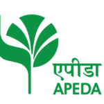 APEDA logo