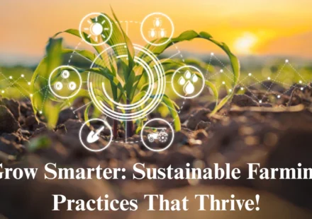 Sustainable Farming Practices: Grow Better with Focus Agritech’s Guide