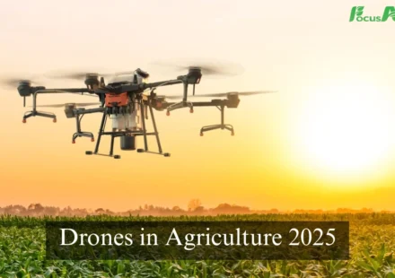 Drones in Agriculture 2025: Revolutionizing Indian Farming with Focus Agritech