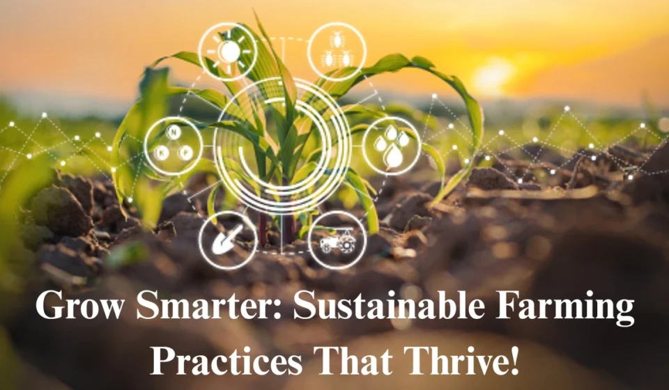 Sustainable Farming Practices: Grow Better with Focus Agritech’s Guide