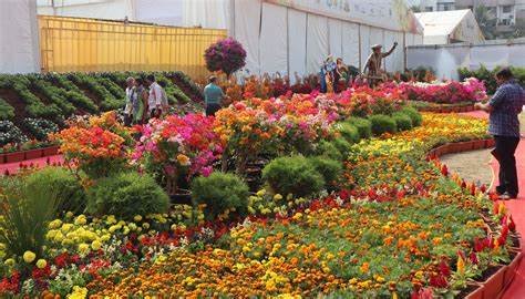Floriculture india