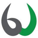 Brainwired logo