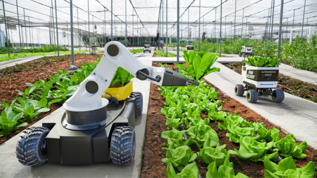 Robots to Do the Hard Work​