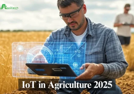 IoT in Agriculture 2025: Smart Sensors for Smarter Farming with Focus Agritech