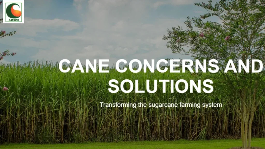 Cane Concerns & Solutions